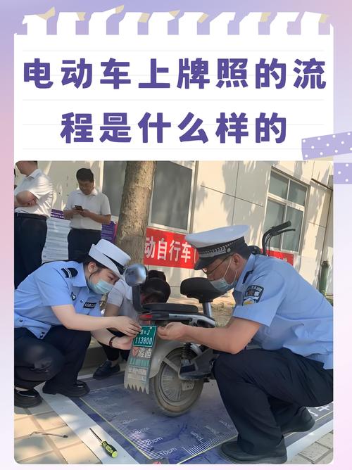 成都查电瓶车牌照:一证在手,出行无忧!