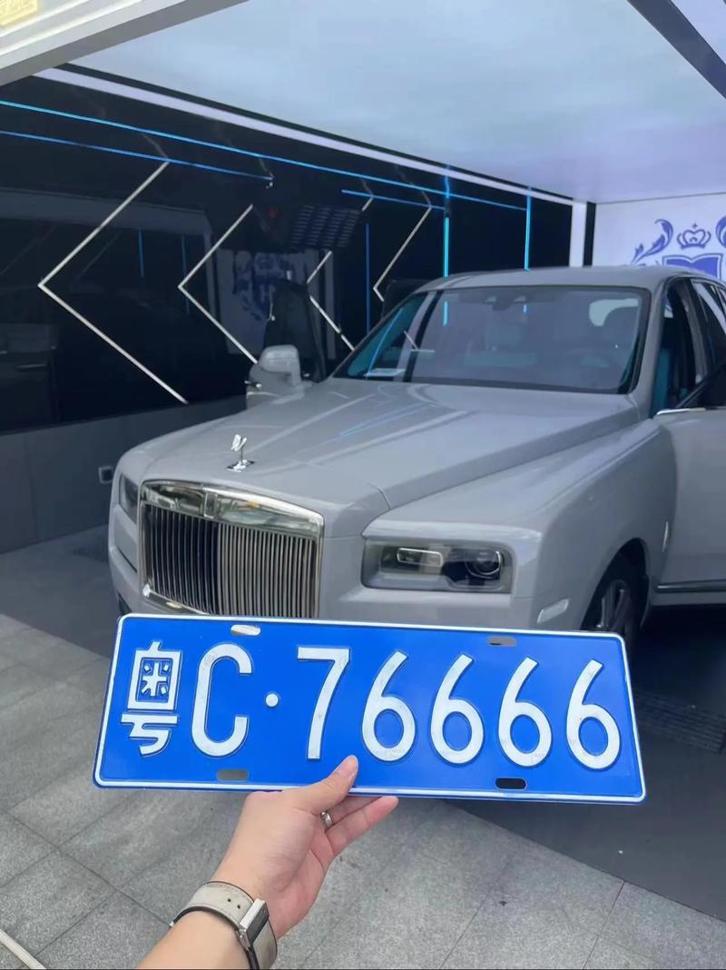 云浮市车牌粤S00001”惊现,史上最靓号车牌引车友热议!
