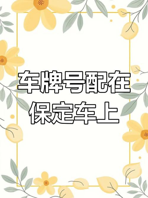 保定车牌靓号,独特韵味等你来揭晓