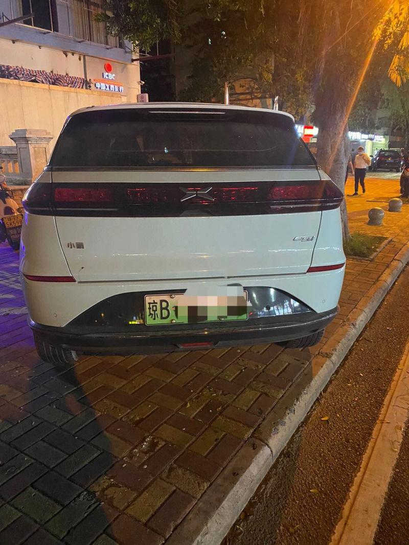 琼牌魅力:琼州岛车牌的独特风采