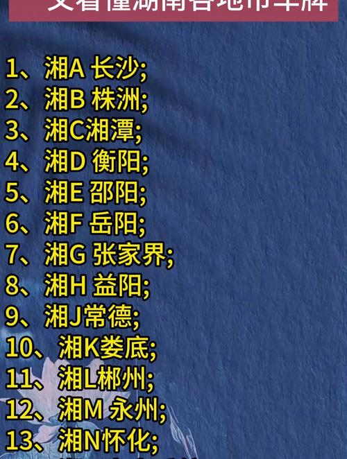 衡阳车牌号抢手自选,车主热议车牌文化新风尚