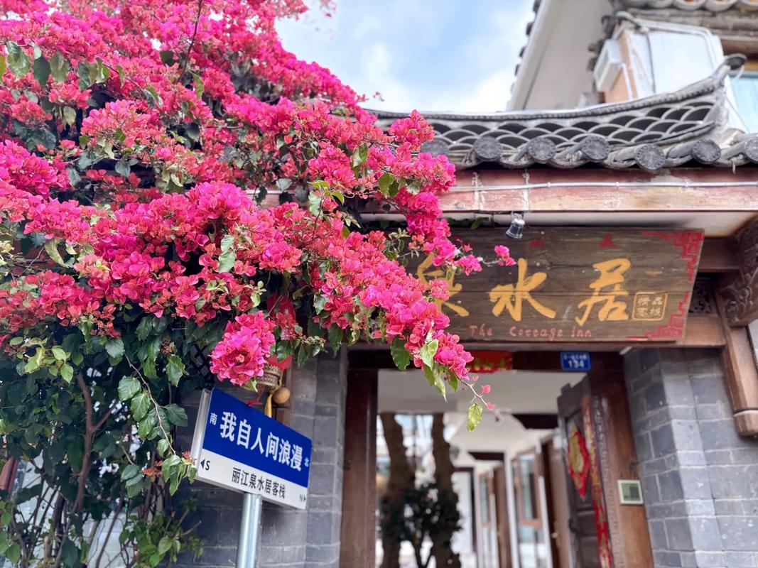 探寻丽江车牌靓号:美丽古城的专属标识