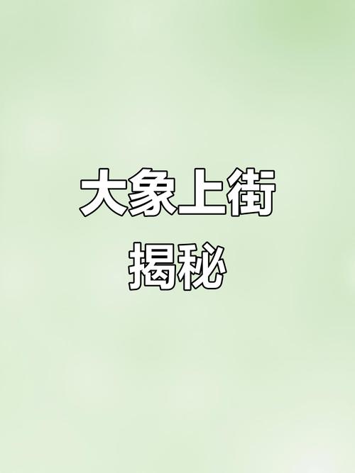 云南车牌大象图案走红,大象文化魅力引关注