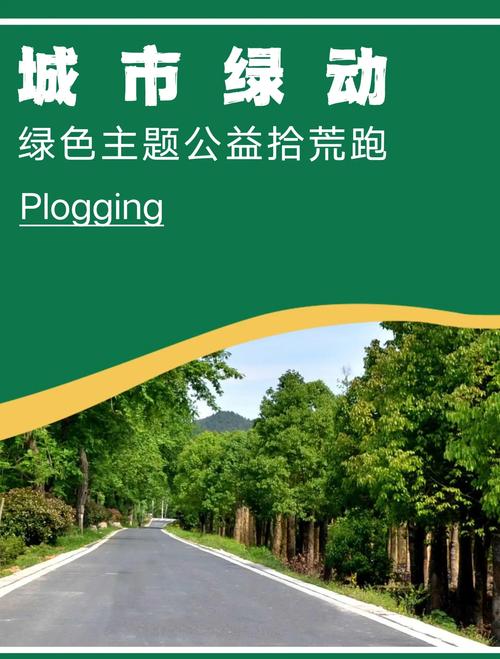 平湖新能源车牌靓号,绿色出行新风尚