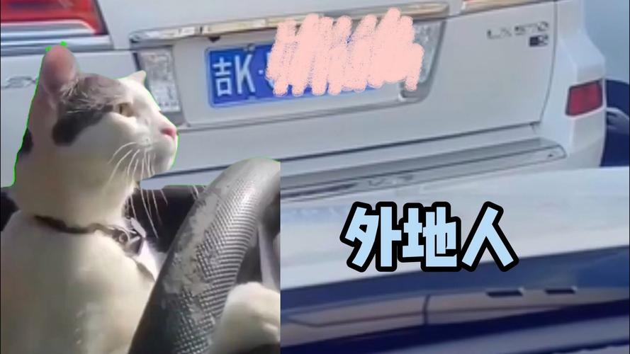 吉K牌照惊现热门城市,车主身份引热议!