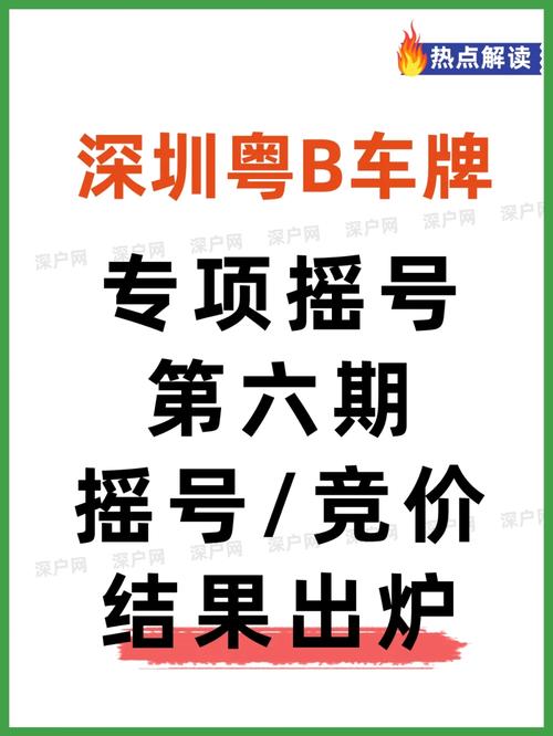 深圳摇号车牌靓号,谁将幸运夺魁?