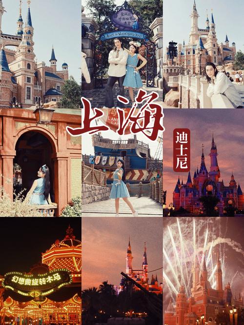 迪士尼车牌:梦幻之旅,一牌在手!