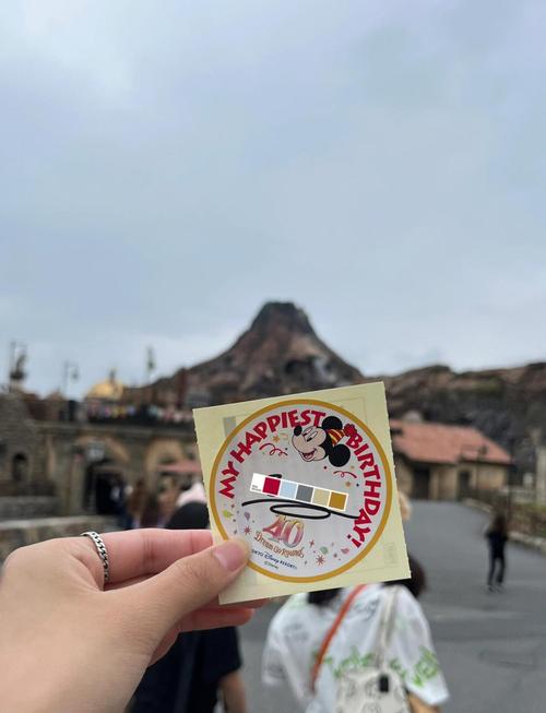 迪士尼车牌:梦幻之旅,一牌在手!