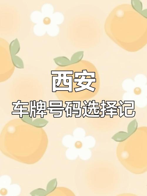 西安车牌新政策:网上自选车牌,车牌号码任你挑!