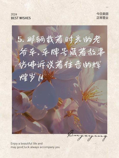 车牌传奇:3457,背后的故事与神秘魅力
