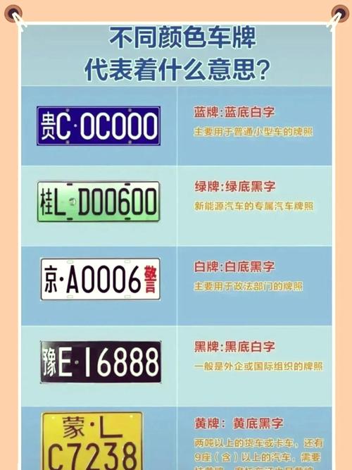 车牌上独特字样为何成为热门话题?