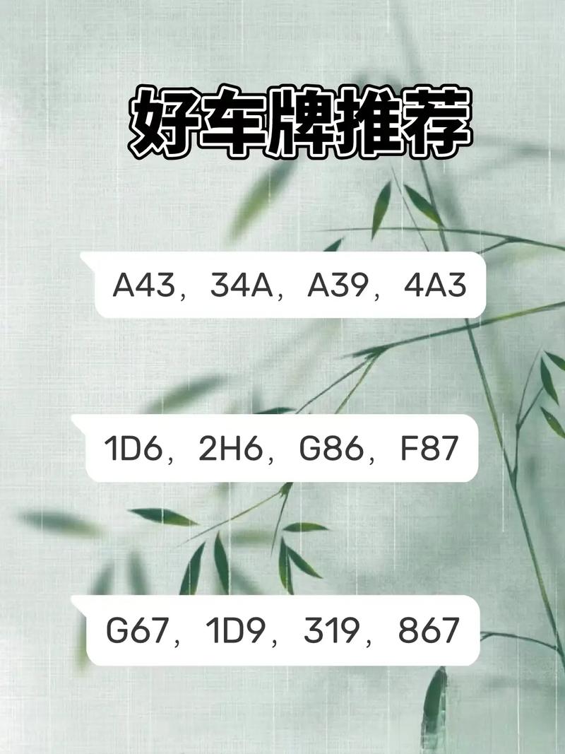 车牌号测号码吉凶:车牌背后的神秘力量!