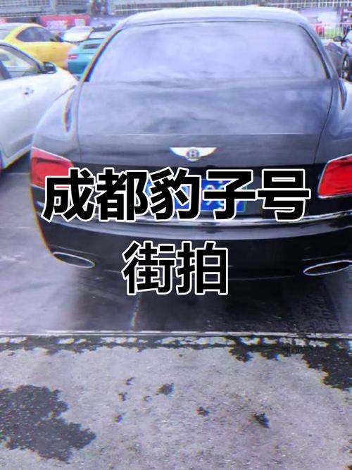 成都车牌转让:寻找有缘人,靓号车牌等你来拿