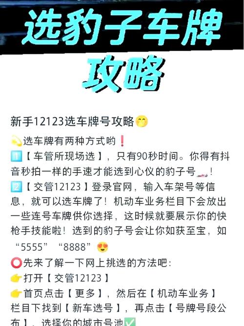 武汉车牌靓号申请新规来袭,抢号大战一触即发