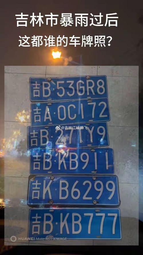吉林车牌靓号:数字魅力下的车牌价值探秘