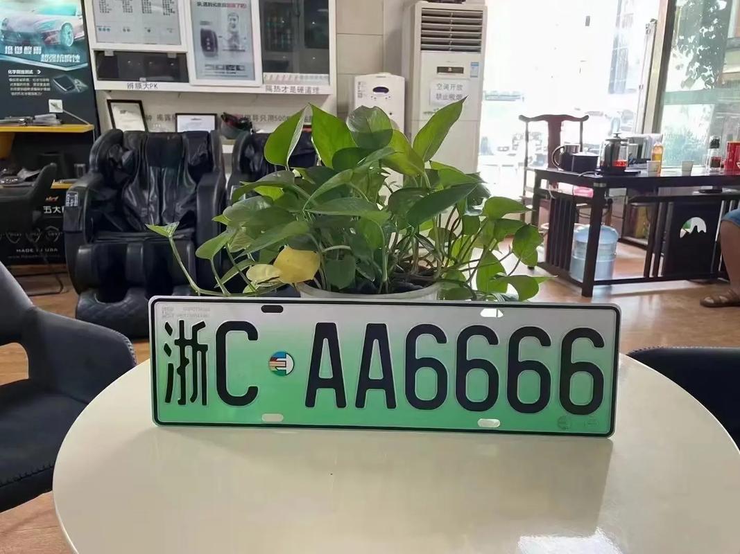 浙AO车牌靓号,一牌难求,车主们争相追捧!”