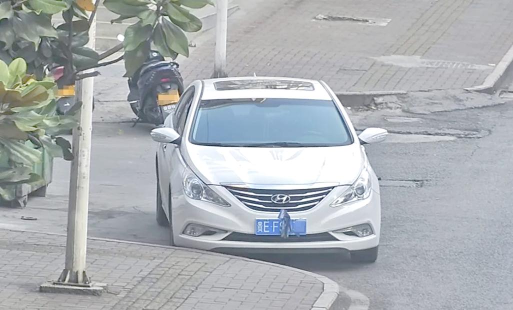 外地车牌引发争议:为何有人认为它带来不便?
