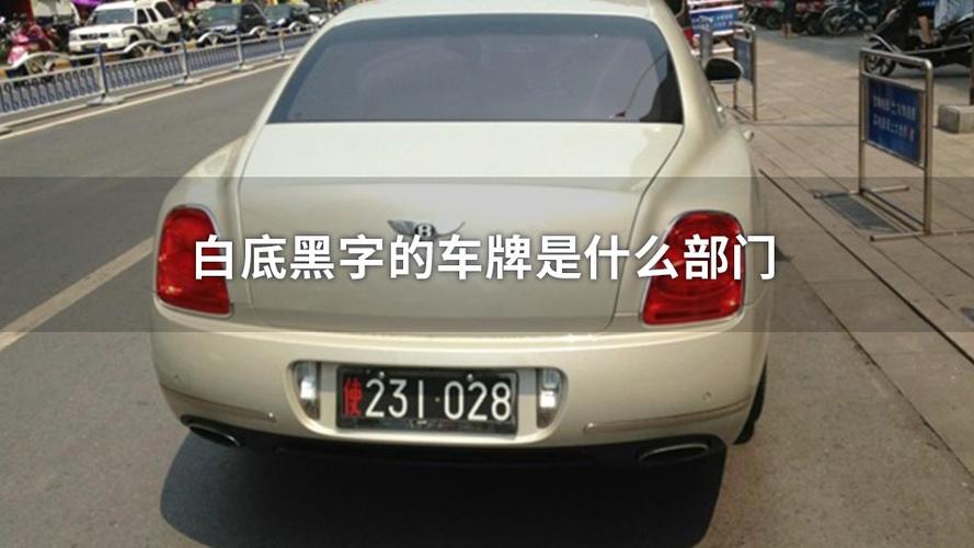 唐山车牌号码收藏家论坛:探寻车牌背后的故事与价值
