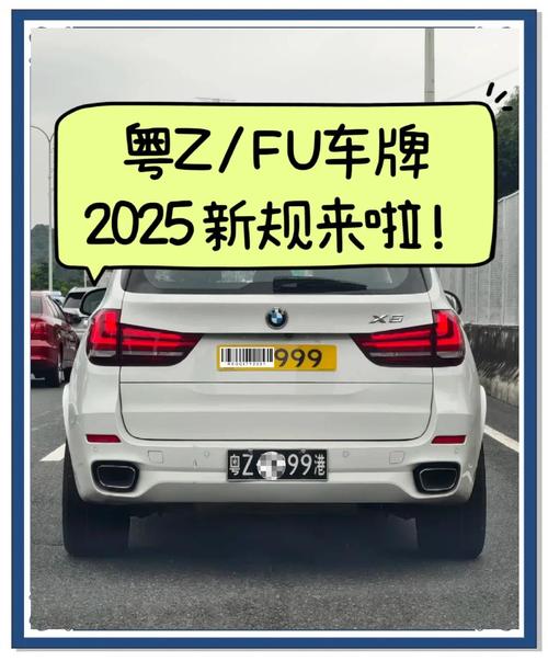水车牌风潮来袭,我的车牌成了热门焦点!
