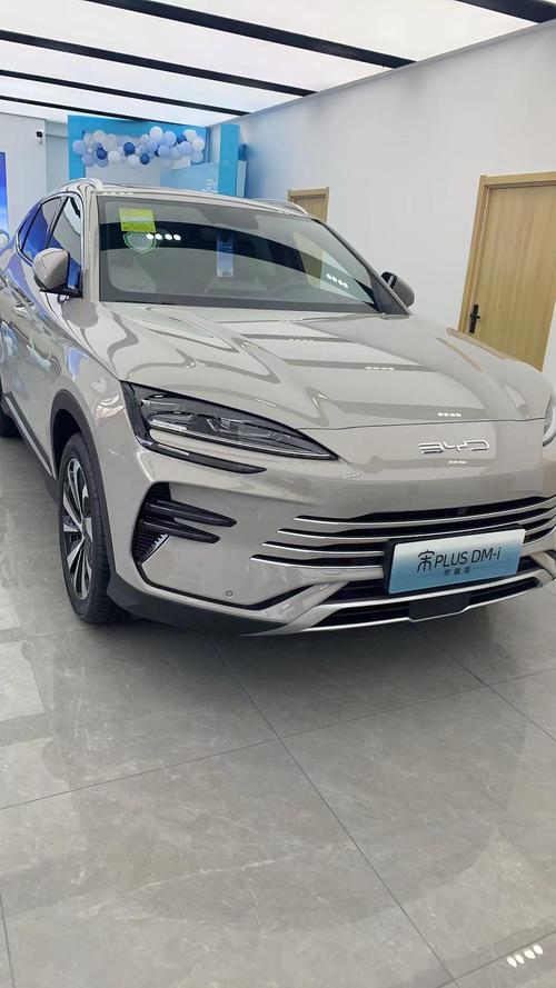 宋PLUS车牌框:潮流与实用的完美结合,展现个性风采!