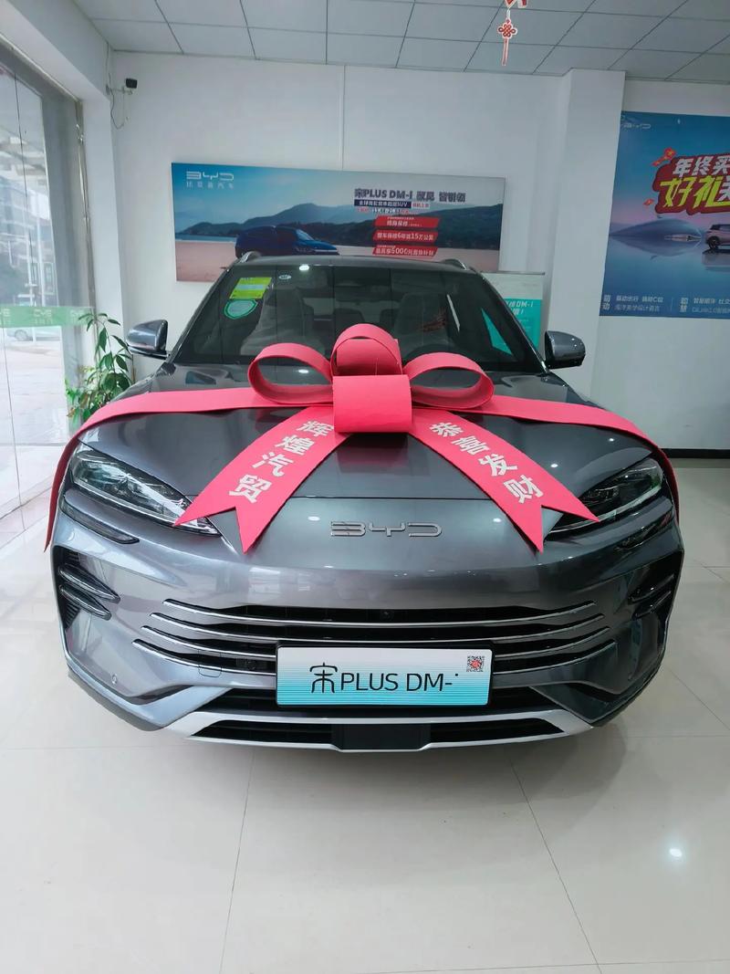宋PLUS车牌框:潮流与实用的完美结合,展现个性风采!