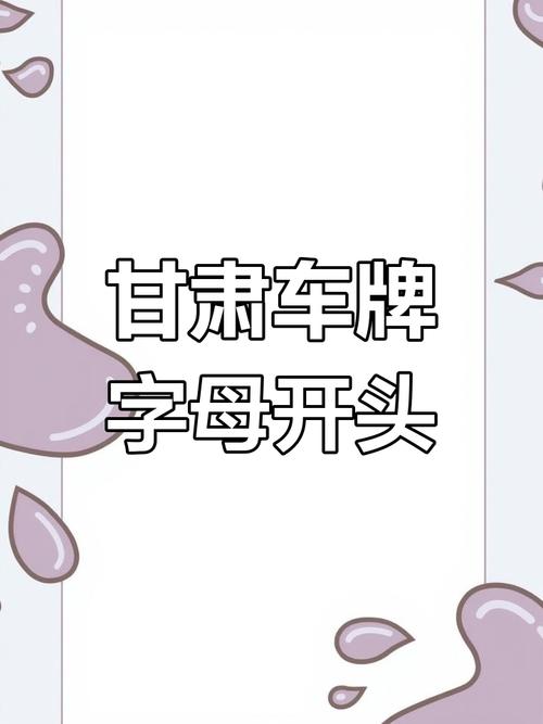 寻甘肃定西车牌靓号,车牌文化传承之旅