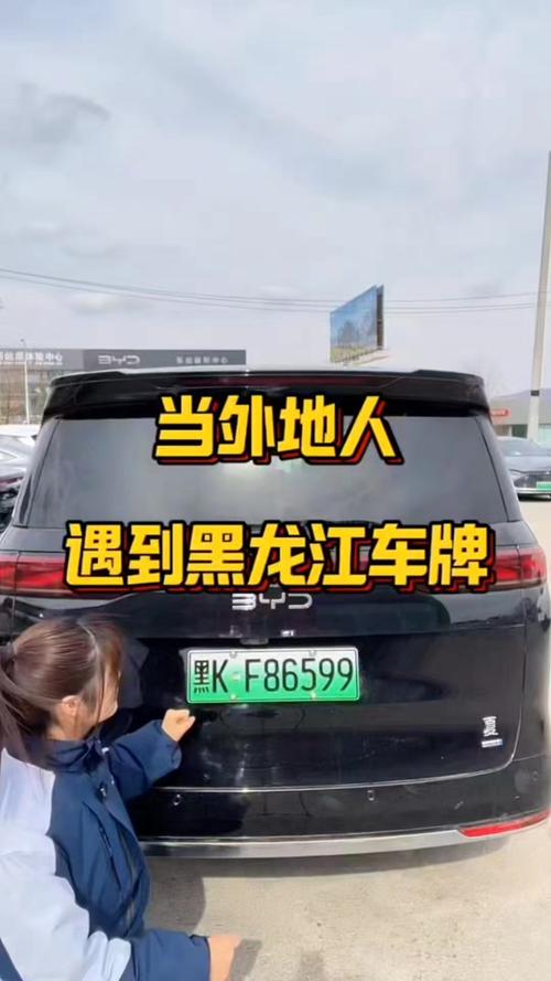 哈尔滨车主福音:网上选车牌号,个性化车牌轻松到手!