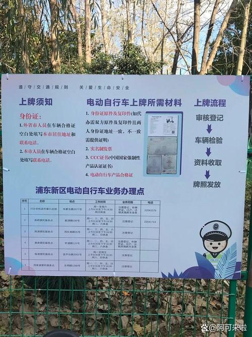 上海电瓶车牌照图片曝光,新规实施引热议!
