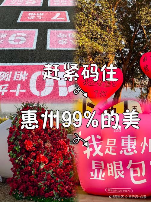 惠州车牌选号,遇见你的专属幸运数字