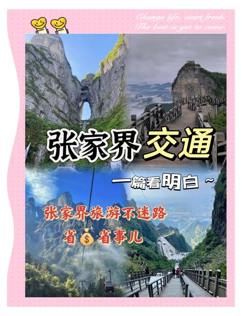 张家界车牌靓号引关注,车主喜提独特出行身份!”