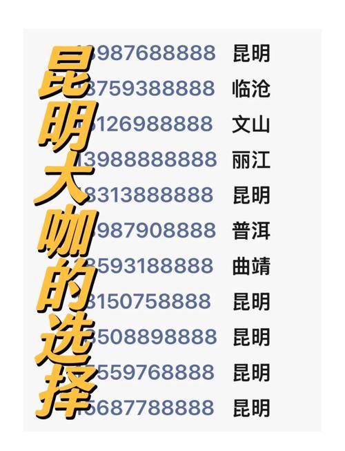 云D靓号车牌竞拍风云:车牌背后的数字传奇