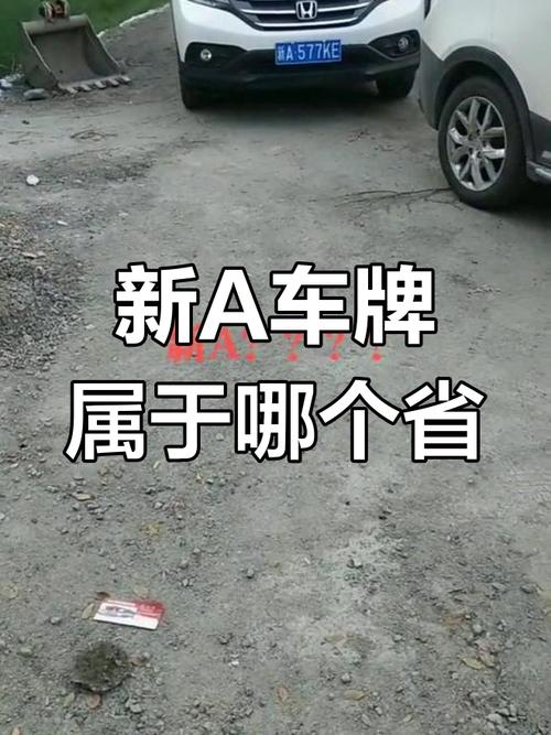 神秘车牌号AT火爆网络,真相竟是这个!