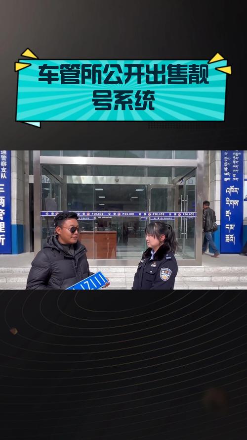 廊坊靓号车牌代办,车牌背后的故事