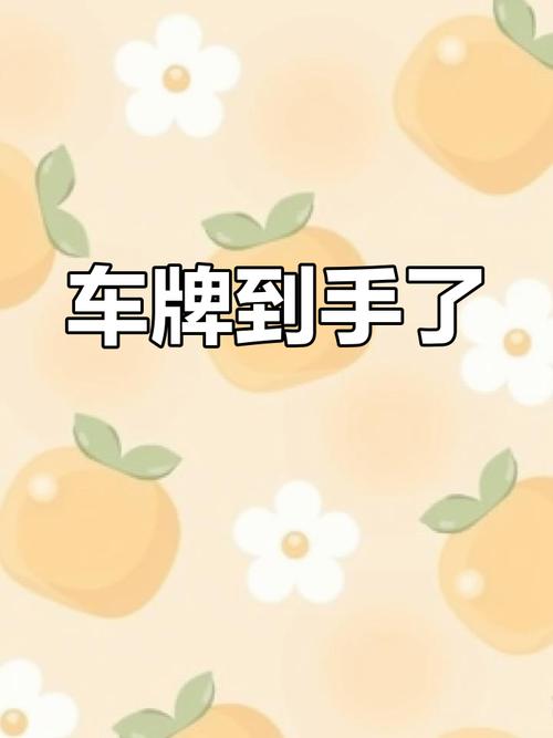 汕头车牌摇号,靓号争夺战一触即发