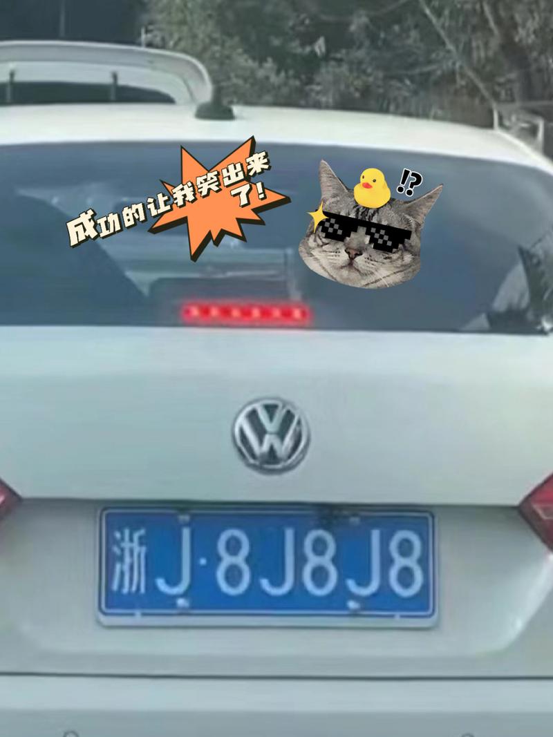 浙Y车牌背后的神秘之地!