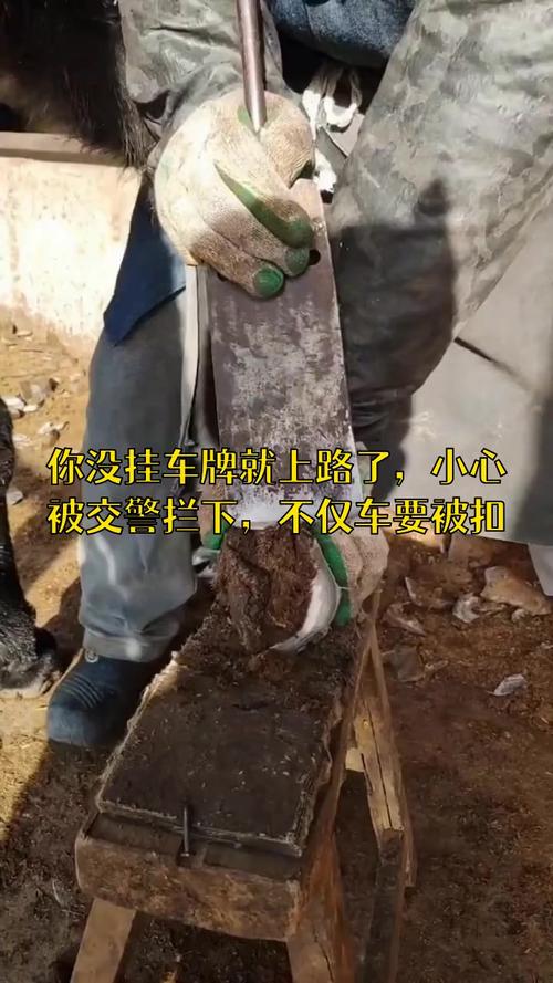 车牌不挂后果严重!不悬挂车牌的处罚措施