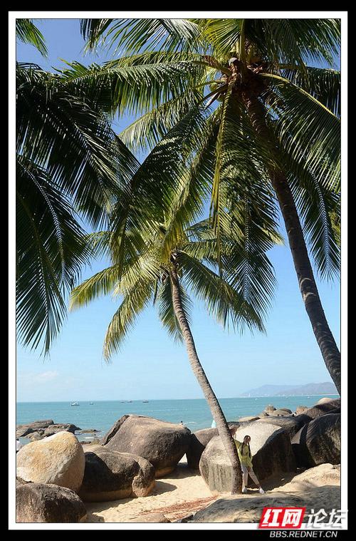 海南车牌小靓号:一抹椰风海韵中的独特魅力