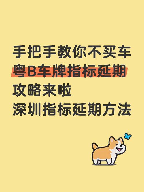 深圳7月车牌指标出炉!抢购攻略:如何轻松中签?
