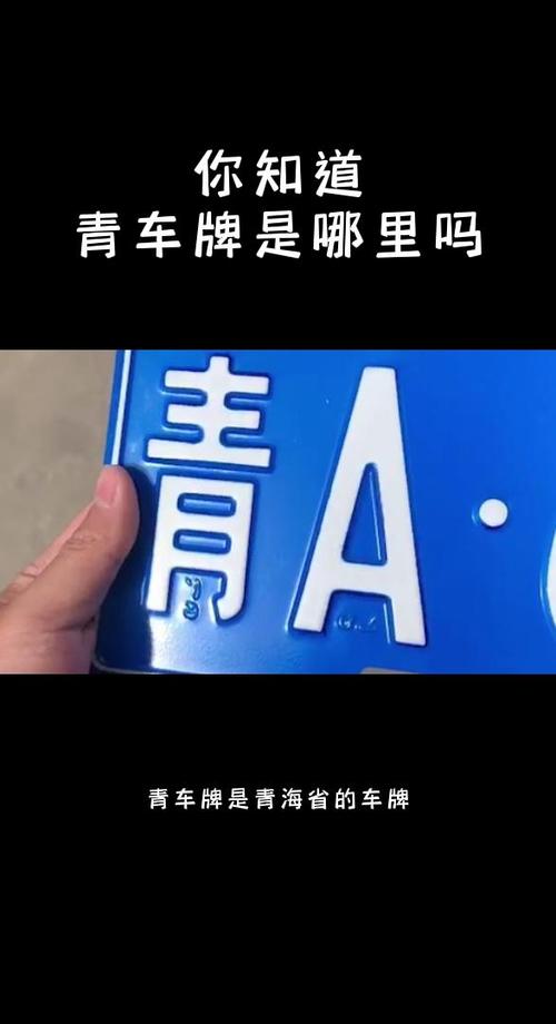 青车牌号引发热议，我国车牌照魅力所在
