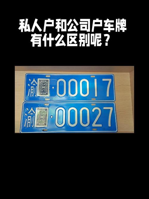车牌选号:探寻靓号背后的独特魅力