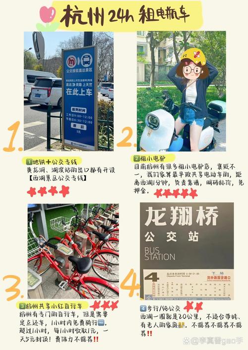 杭州西湖电动车牌照新规引发热议,车主们如何应对?