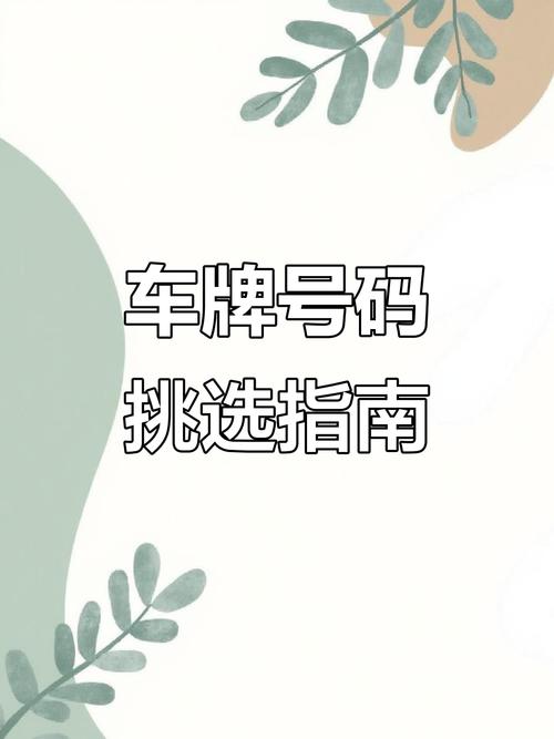 河南车牌靓号竞拍热潮:车牌背后的数字游戏