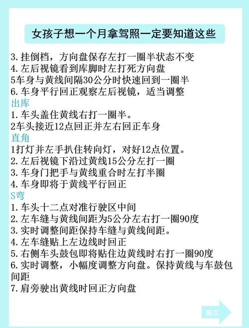 教练车牌照办理攻略:轻松掌握办理流程