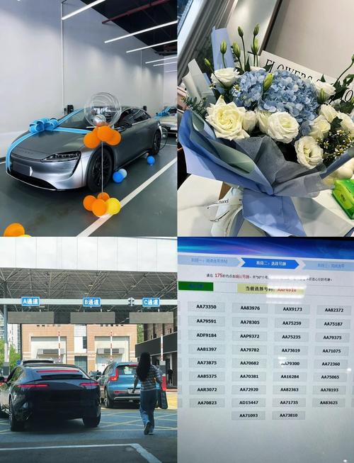 武汉车牌靓号申请,一睹城市风采