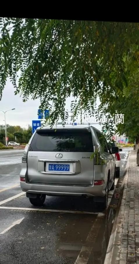 九五至尊车牌靓号:一牌难求,价值连城的身份象征!
