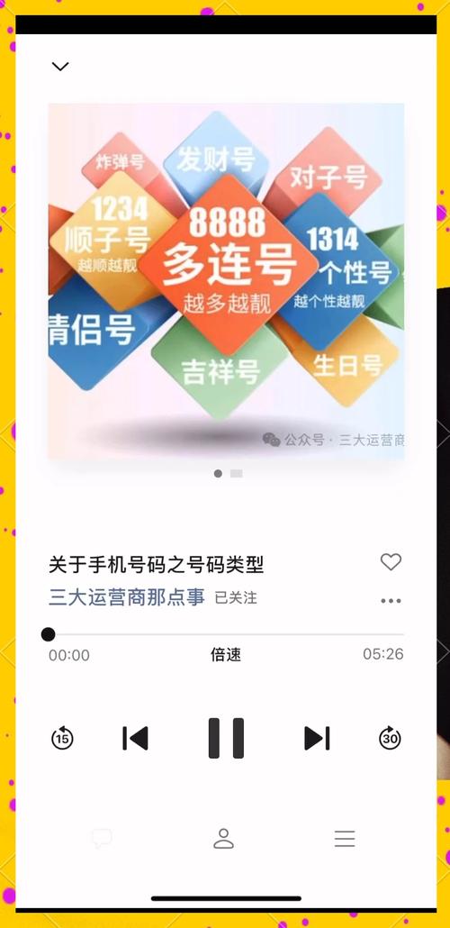 保定车牌炸弹号:靓号背后的传奇故事
