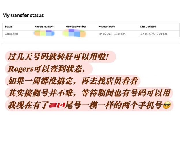北美车牌靓号一网打尽,热门查询攻略大!