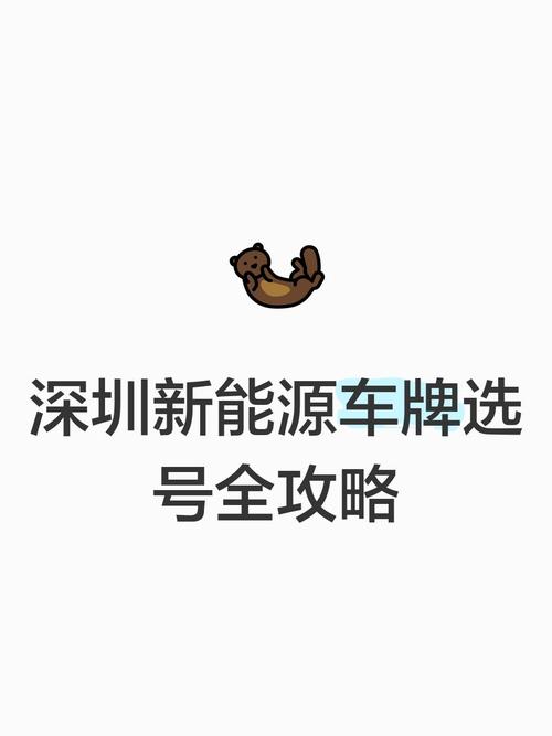 深圳车牌靓号：入手攻略与热门途径