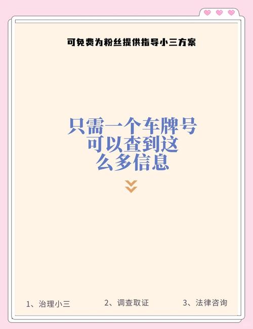 神秘来袭!gs白底车牌背后竟隐藏惊人秘密!
