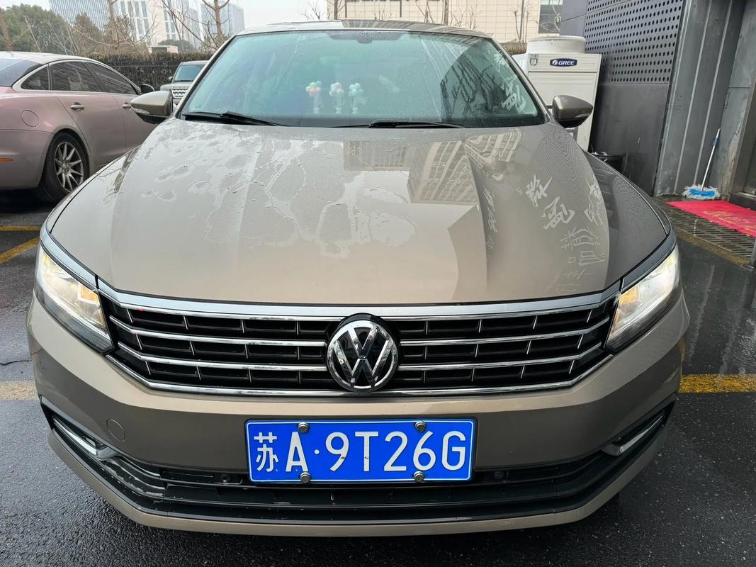 帕萨特靓号车牌,车牌中的艺术品